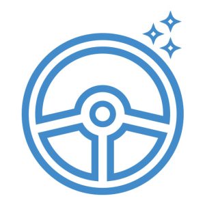 Limpieza Interior Integral